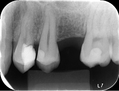 image (1) (1)