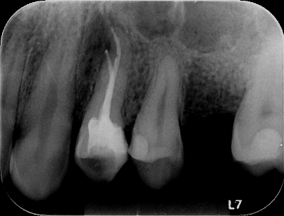 image (2)